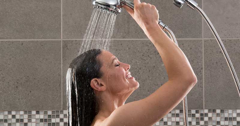 Waterpik hand held shower head