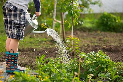 Ways to Save Water Outdoors