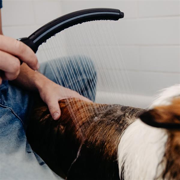 Using the Pet Wand PRO Deluxe Dog Shower PPR-255E Indoors